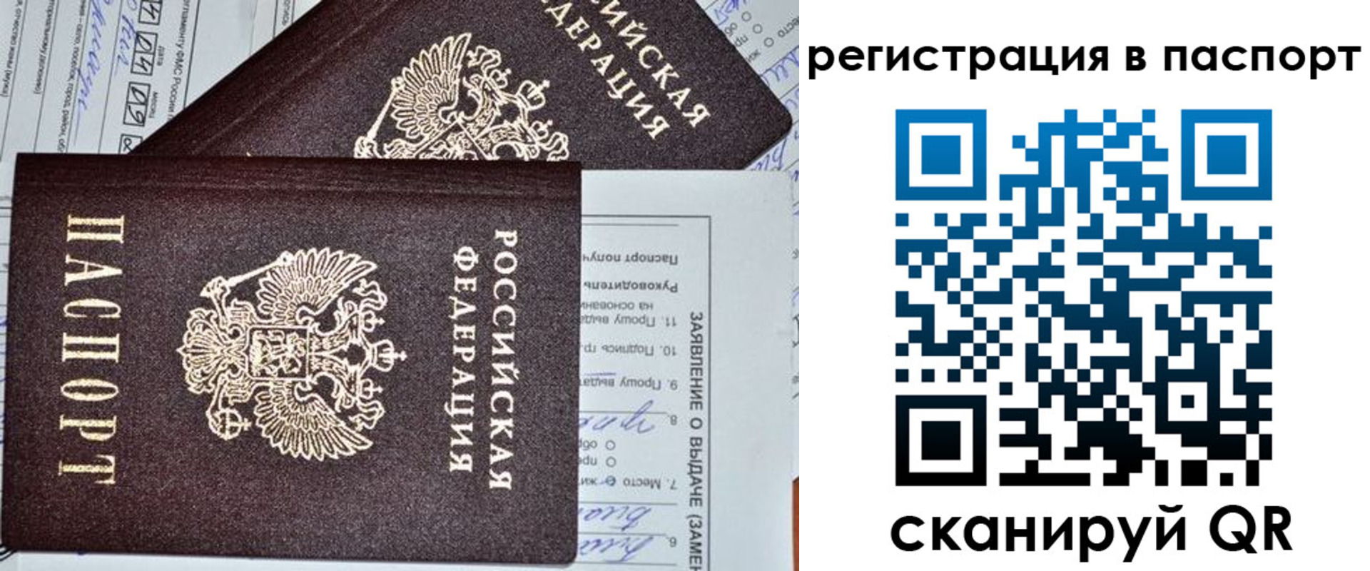 прописка законно в Алексеевке
